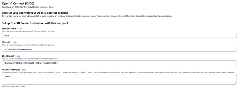 AWS Cognito Provider example